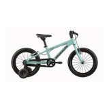 Bianchi lasteratas XR16 16 tolli | HL Autoosad