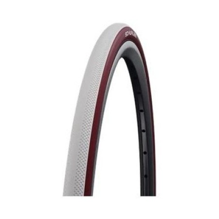 Schwalbe Dunk King 25-540