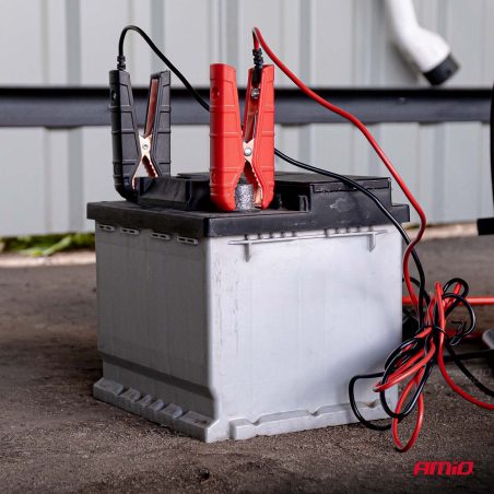AMiO digitaalne akulaadija AGM/GEL/STD/25 A 12/24 V | HL Autoosad