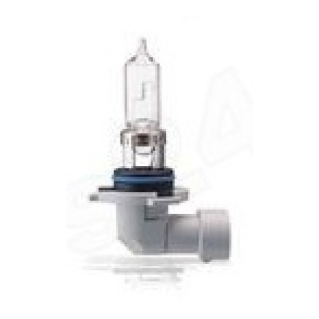 Bosch HB3 12 V 60 W P20d tulepirn, 1 tk | HL Autoosad