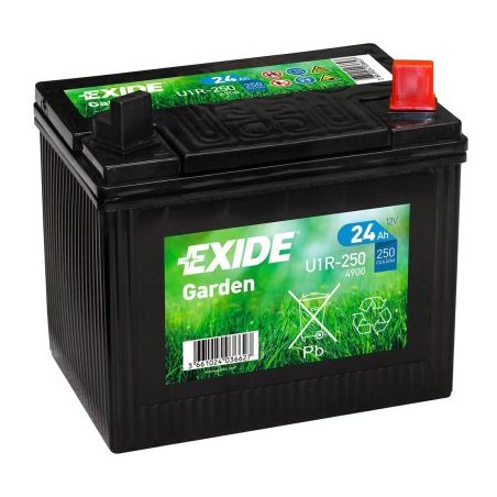 Exide murutraktori aku 12 V 24 Ah 197 x 132 x 186 (-/+) | HL Autoosad