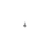Bosch H1 12 V 55 W blister, 1 tk | HL Autoosad
