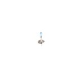 Bosch H1 12 V 55 W Xenon Blue, 1 tk | HL Autoosad