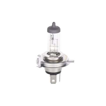 Bosch H4 12 V 60/55 W blister, 1 tk | HL Autoosad