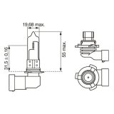 Bosch HB3 12 V 60 W Pure Light kartong, 1 tk | HL Autoosad