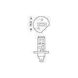 Lampa H1 55 W | HL Autoosad