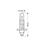 Lampa H1 55 W | HL Autoosad