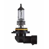 Osram H10 12 V 42 W PY20D | HL Autoosad