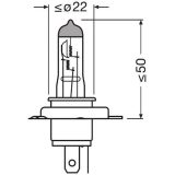 Osram H19 12 V 60/55 W PU43t-3 | HL Autoosad