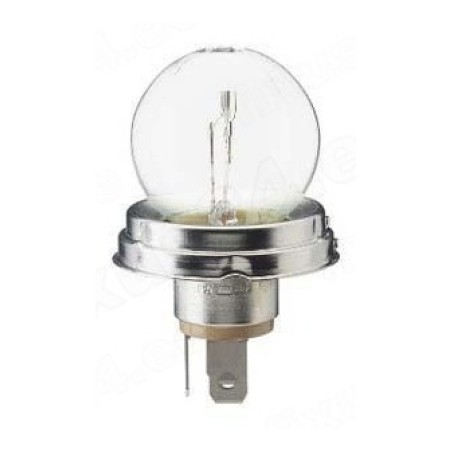 Philips MasterDuty R2 24 V 55/50 W P45T-41 | HL Autoosad