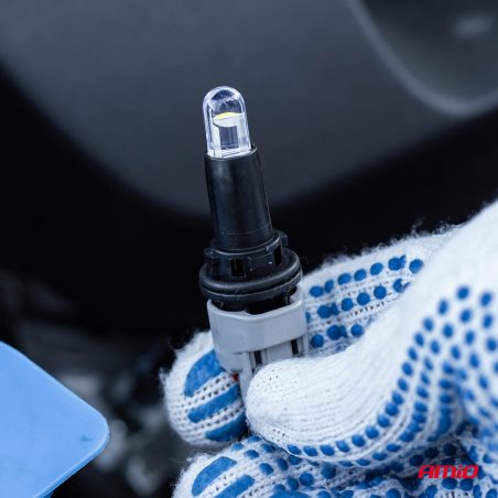 AMiO pirnid LED, 2 tk, T10, W5W, 12SMD, 12 V | HL Autoosad