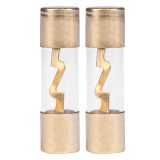 AMiO AGU sulavkaitse, 2 tk 10,3 x 38,1 mm 80 A | HL Autoosad