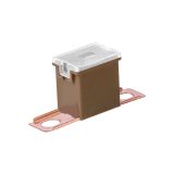 AMiO kaitse Japval PAL, 1 tk isane 48 mm 70 A | HL Autoosad