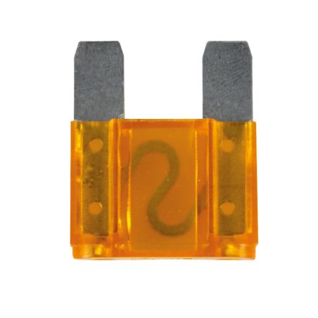 Lampa kaitse maxi 40 A 29,2 x 34,2 mm | HL Autoosad