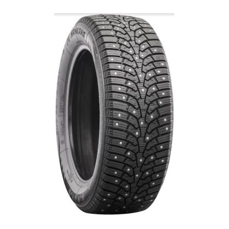 255/40R19 Nankang SW-9 naastrehv 100T XL