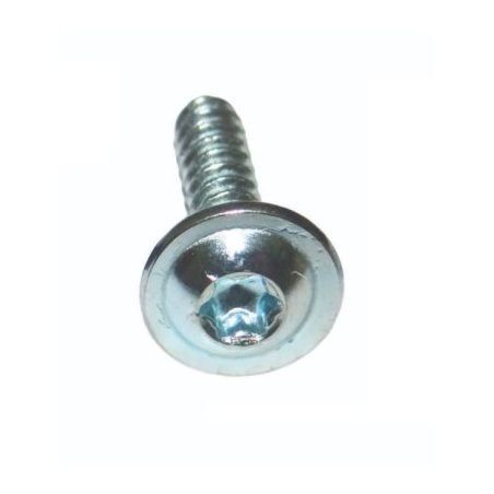 Autosmilga Torx-kruvi 13x4,2 mm | HL Autoosad