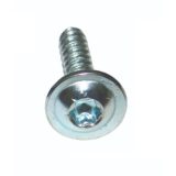 Autosmilga Torx-kruvi 13x4,2 mm | HL Autoosad