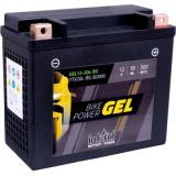 IntAct 18 Ah YTX20L-BS GEL 175 x 87 x 155 (-/+) | HL Autoosad