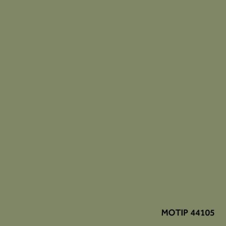 Motip parandusvärv 400 ml | HL Autoosad
