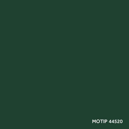 Motip parandusvärv 400 ml | HL Autoosad