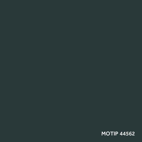 Motip parandusvärv 400 ml | HL Autoosad