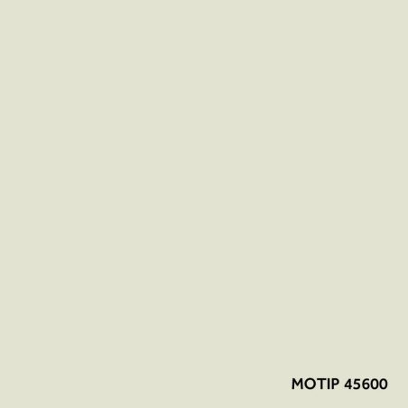 Motip parandusvärv 400 ml | HL Autoosad