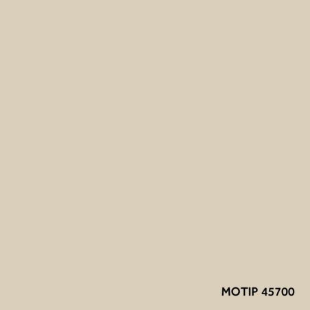Motip parandusvärv 400 ml | HL Autoosad