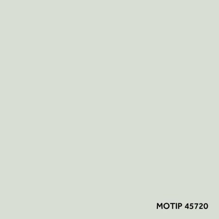Motip parandusvärv 400 ml | HL Autoosad