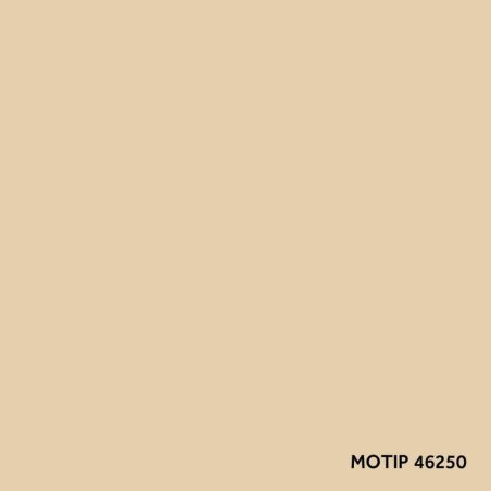 Motip parandusvärv 400 ml | HL Autoosad