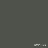 Motip parandusvärv 400 ml | HL Autoosad