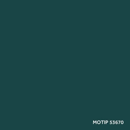 Motip parandusvärv 400 ml | HL Autoosad
