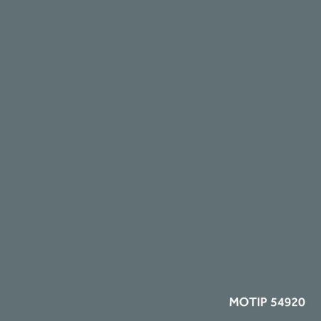 Motip parandusvärv 400 ml | HL Autoosad