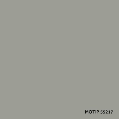 Motip parandusvärv 400 ml | HL Autoosad