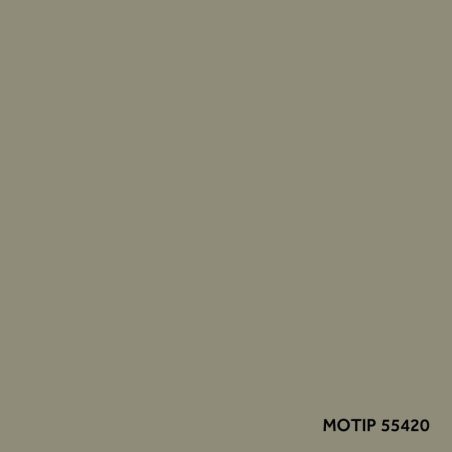 Motip parandusvärv 400 ml | HL Autoosad