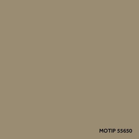 Motip parandusvärv 400 ml | HL Autoosad