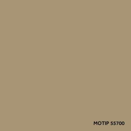 Motip parandusvärv 400 ml | HL Autoosad
