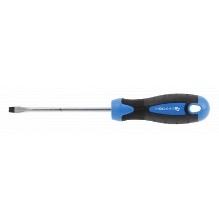 Högert kruvikeeraja lapik 5 x 100 mm | HL Autoosad