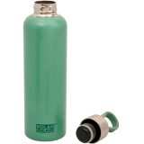 Disney termospudel 500 ml hoiderihm | HL Autoosad