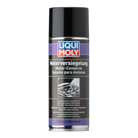 Liqui Moly mootori konserveerimis-sprei 300 ml | HL Autoosad
