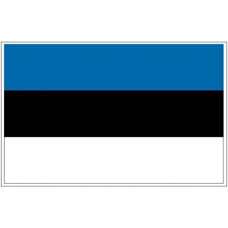 Eesti lipp magnet 117 mm x 76 mm | HL Autoosad