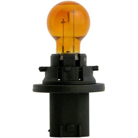 Philips pirn 12 V PSY16W PU20D/2 | HL Autoosad