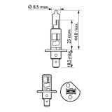 Philips esitule pirn 12 V H1 100 W Rally | HL Autoosad