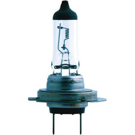 Philips esitule pirn 24 V H7 MasterDuty BlueVision, 2 | HL Autoosad