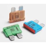 Pudenz lapikkaitse 10 A FKS-80 V, 1 tk | HL Autoosad