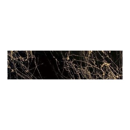 Dupli-Color Marble kuld 200 ml | HL Autoosad