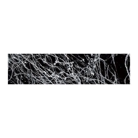 Dupli-Color Marble hõbe 200 ml | HL Autoosad