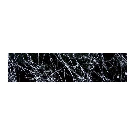 Dupli-Color Marble valge 200 ml | HL Autoosad