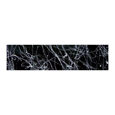 Dupli-Color Marble valge 200 ml | HL Autoosad