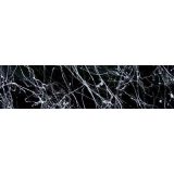 Dupli-Color Marble valge 200 ml | HL Autoosad