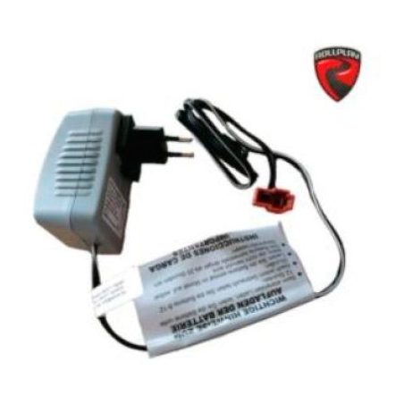 Rolly Toys laadija 24 V | HL Autoosad